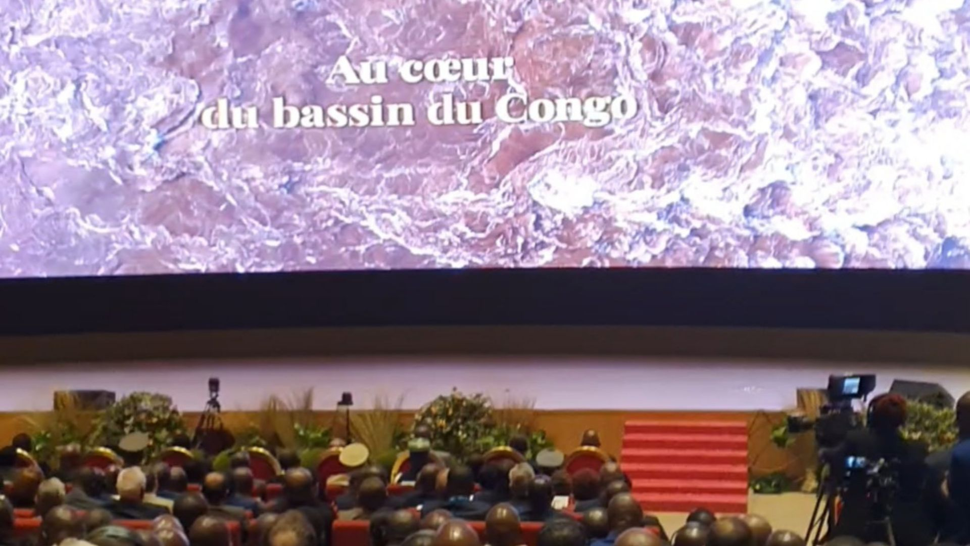 Au coeur du bassin du Congo
